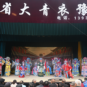 河南省大青衣豫剧团